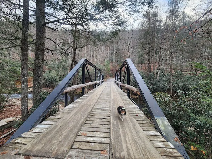 Lazy J Campground Picture 2