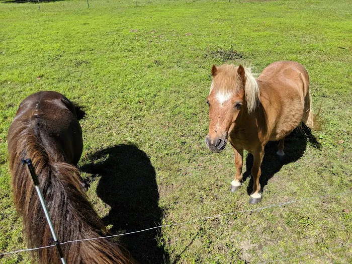 Lazy J Campground Picture 7