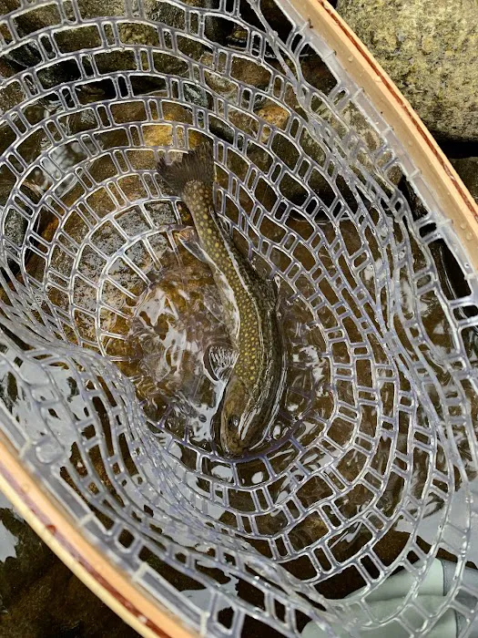 Creekside Ridge Picture 3