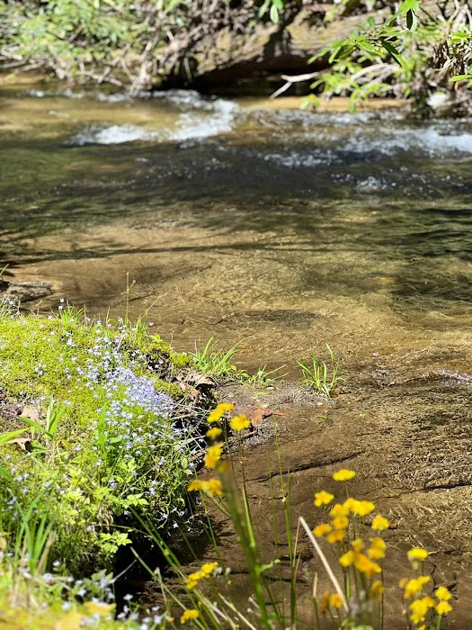 Creekside Ridge Picture 6