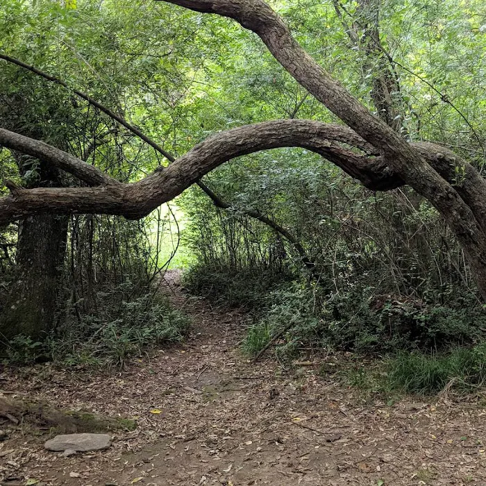 KUYKENDALL GROUP CAMPGROUND Picture 6