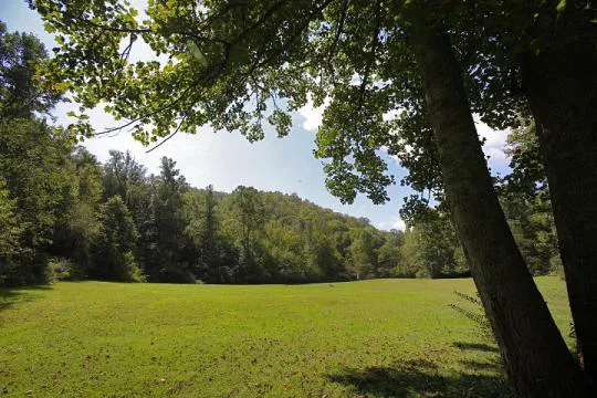 KUYKENDALL GROUP CAMPGROUND Picture 5