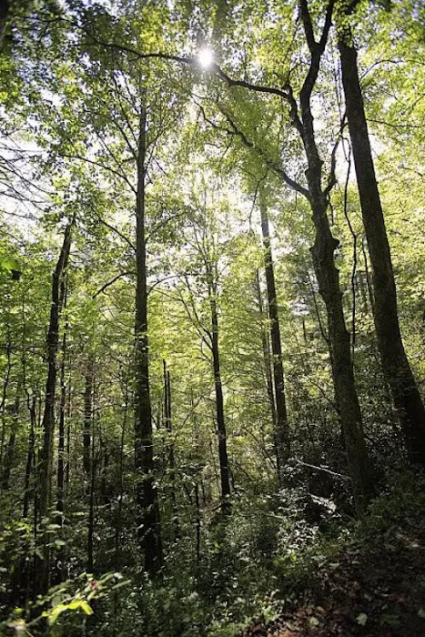 KUYKENDALL GROUP CAMPGROUND Picture 10