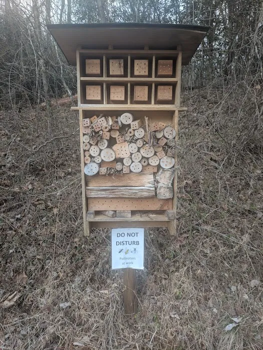 Lake Powhatan Picture 4