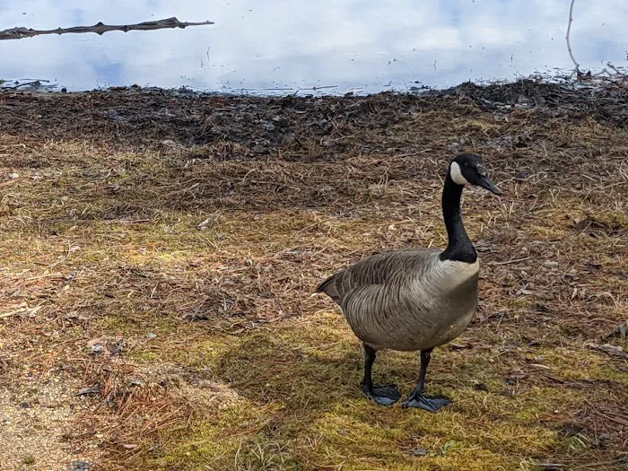 Lake Powhatan Picture 9