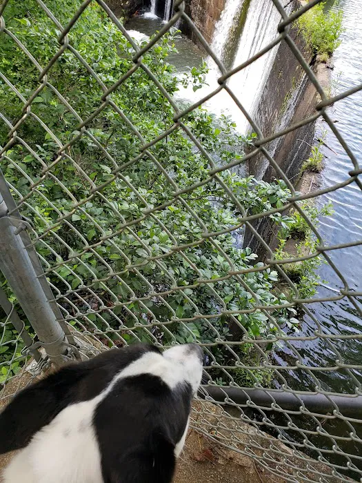 Lake Powhatan Picture 5