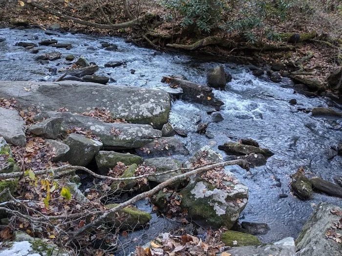 Lake Powhatan Picture 10