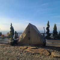 Alchemy - Treehouses of Serenity ico