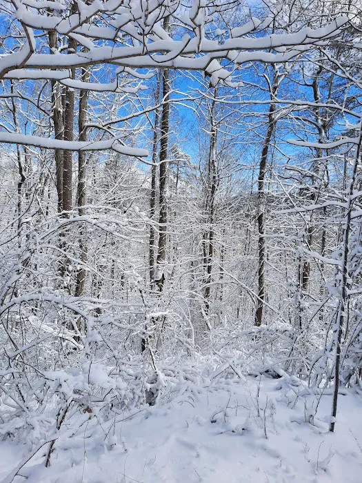 Campfire Lodgings Picture 8