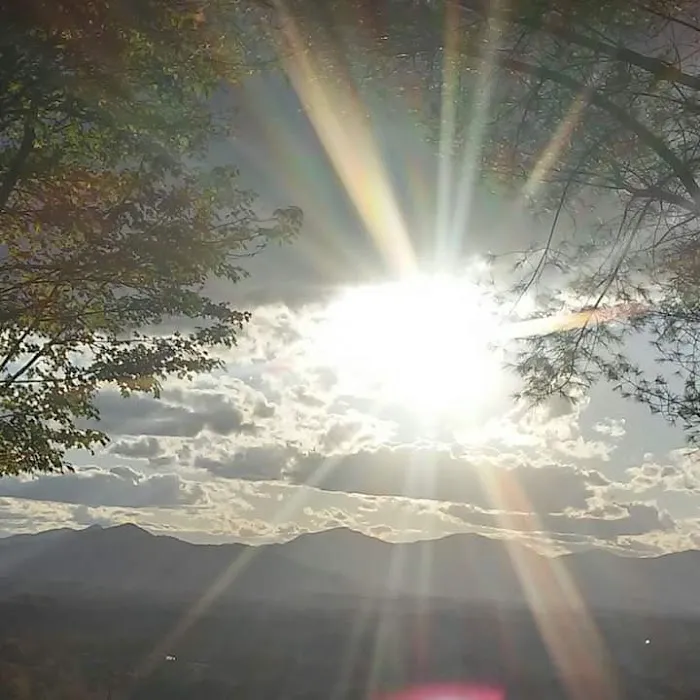 Campfire Lodgings Picture 7