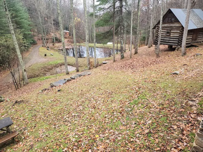 Pioneer Plunge Picture 10