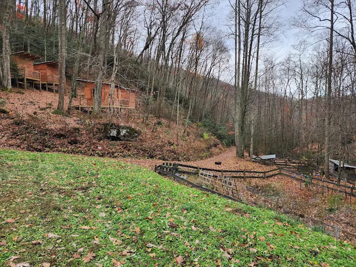 Pioneer Plunge Picture 5