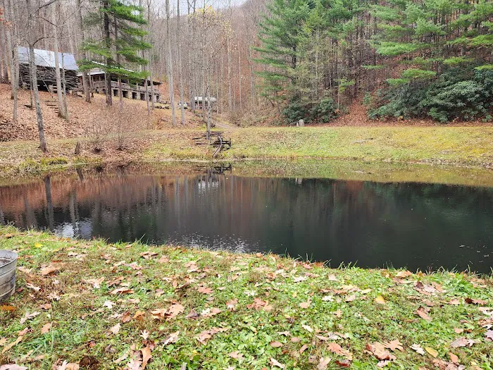 Pioneer Plunge Picture 1