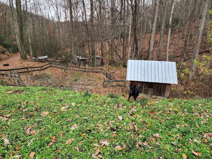 Pioneer Plunge Picture 9