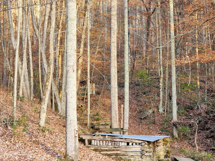 Pioneer Plunge Picture 2