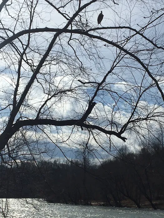 Camp Driftwood Asheville Picture 8