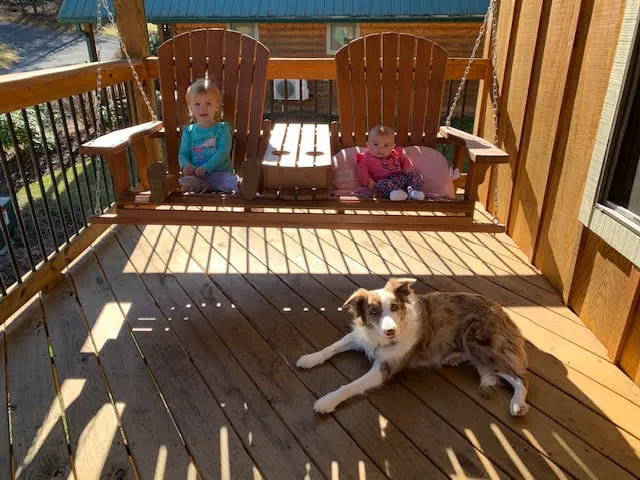 Laurel Mountain Retreat Picture 8