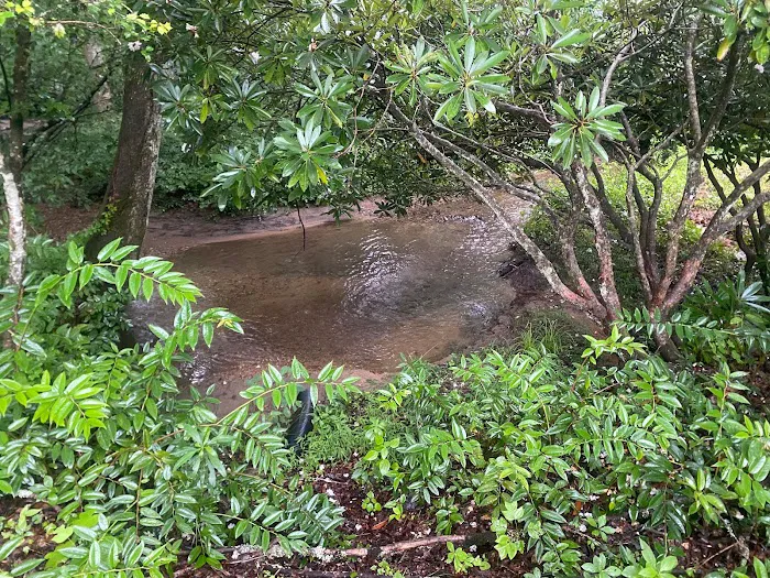 Boylston Creek RV Park and Cabins Picture 5