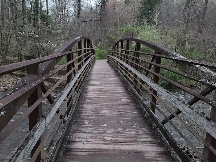 North Mills River Campground & Recreation Area Picture 1