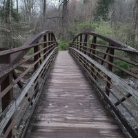North Mills River Campground & Recreation Area ico