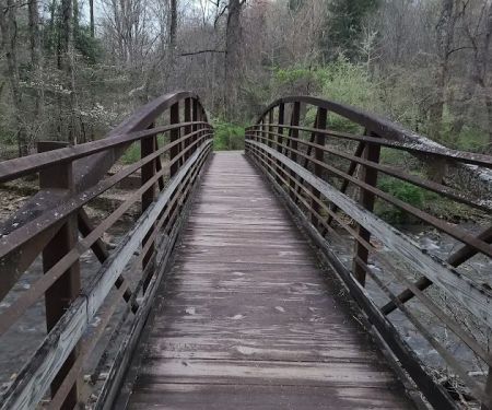 North Mills River Campground & Recreation Area