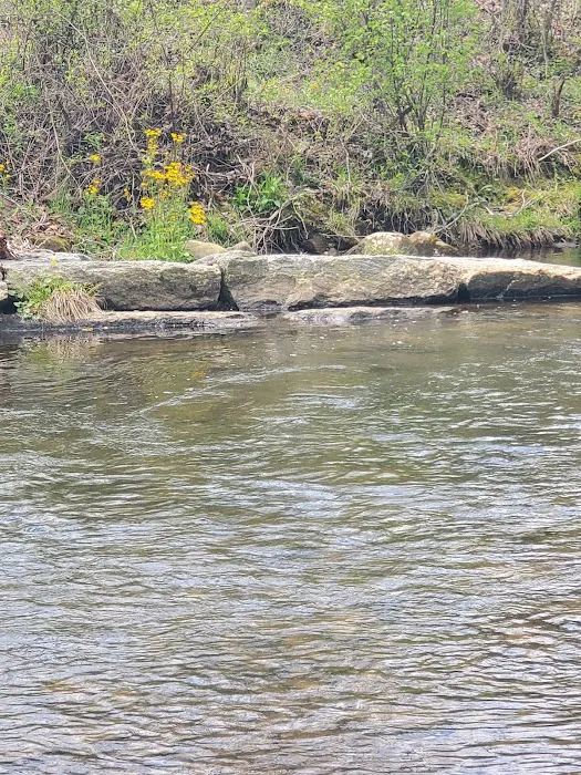 North Mills River Campground & Recreation Area Picture 8