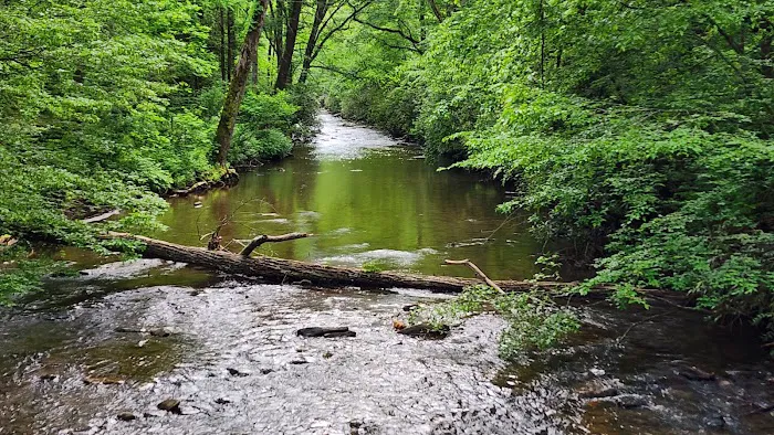 North Mills River Campground & Recreation Area Picture 6