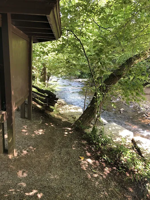North Mills River Campground & Recreation Area Picture 2