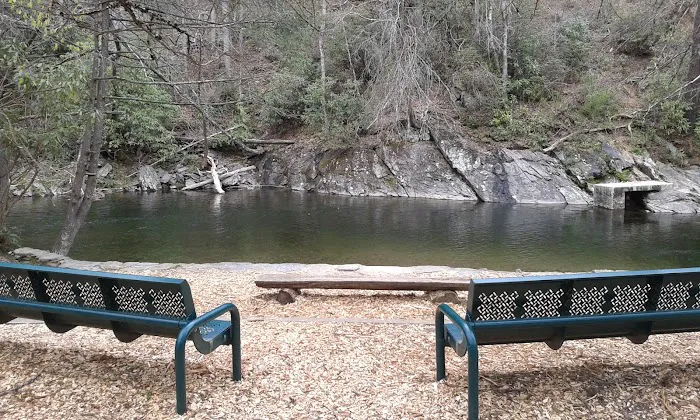 Davidson River Campground Picture 4