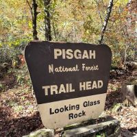 Davidson River Campground ico