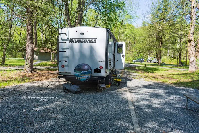 Davidson River Campground Picture 6