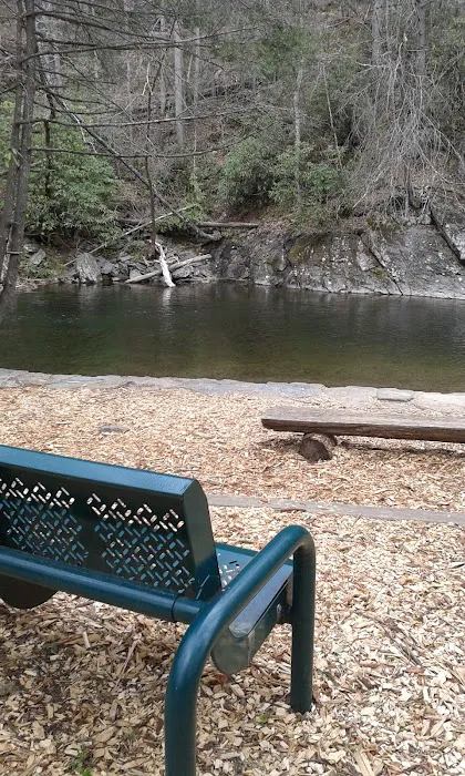 Davidson River Campground Picture 8