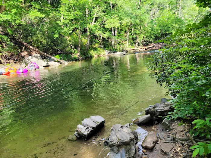 Davidson River Campground Picture 10