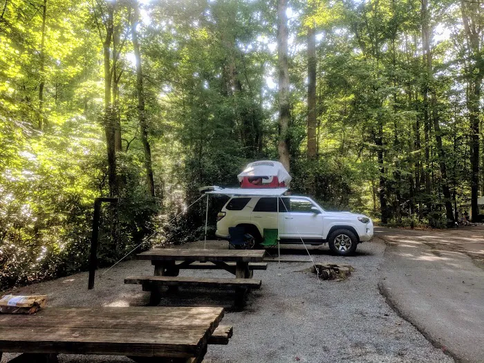 Davidson River Campground Picture 1