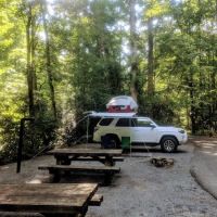 Davidson River Campground ico
