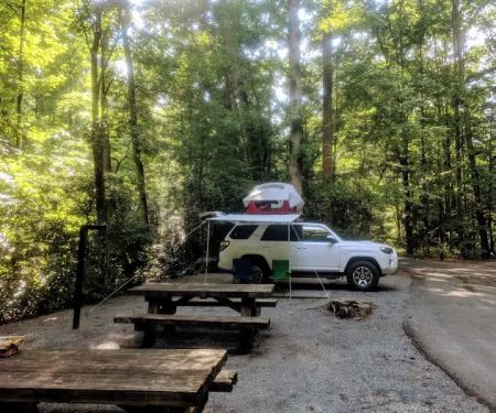Davidson River Campground