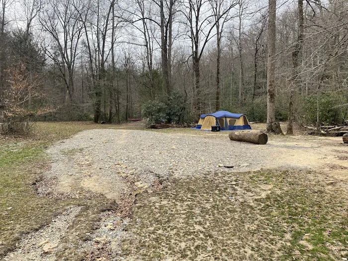 White Pine Group Camp Site Picture 10