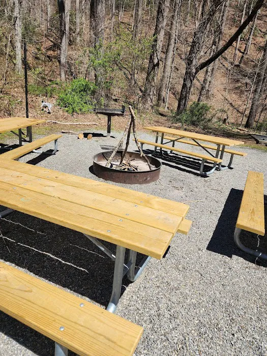 White Pine Group Camp Site Picture 1