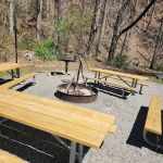 White Pine Group Camp Site