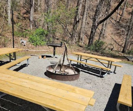 White Pine Group Camp Site