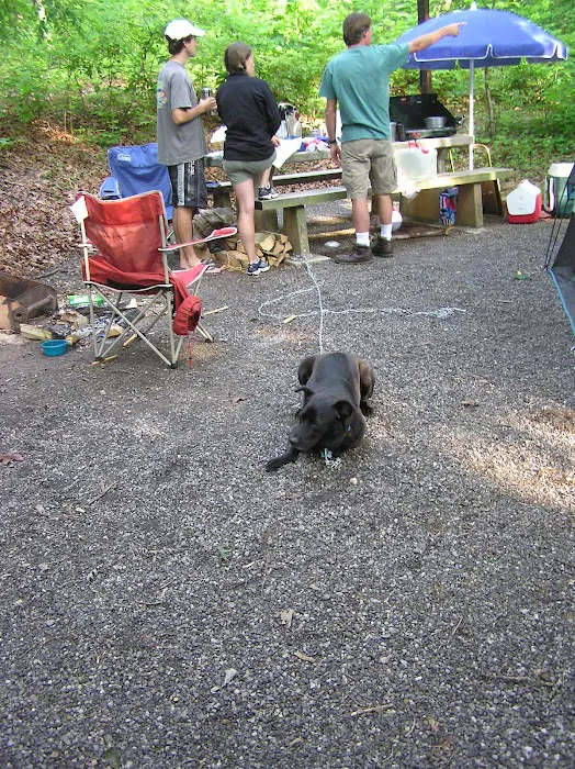 White Pine Group Camp Site Picture 9