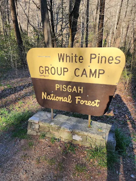 White Pine Group Camp Site Picture 7