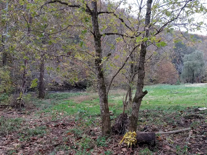 River Forge RV Park and Campground Picture 3