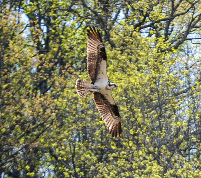 River Forge RV Park and Campground Picture 9