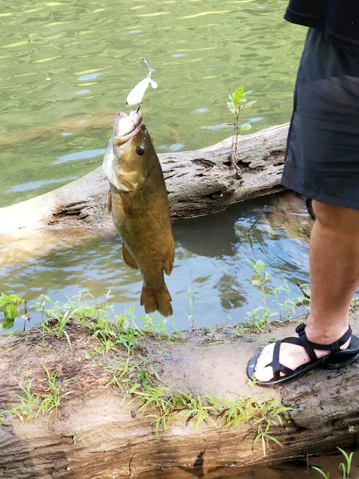 Mountain Pass Campground Picture 2