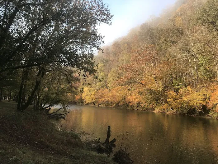 Mountain Pass Campground Picture 1