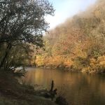 Mountain Pass Campground