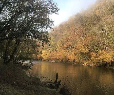 Mountain Pass Campground