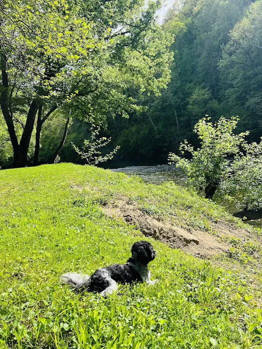 Mountain Pass Campground Picture 5