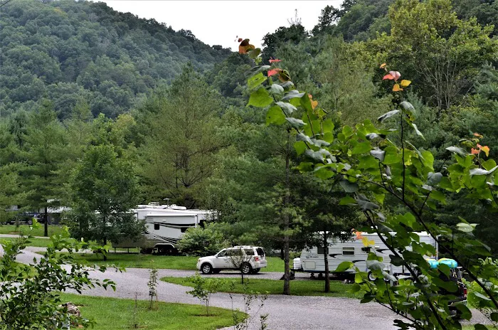 Mountain Pass Campground Picture 9